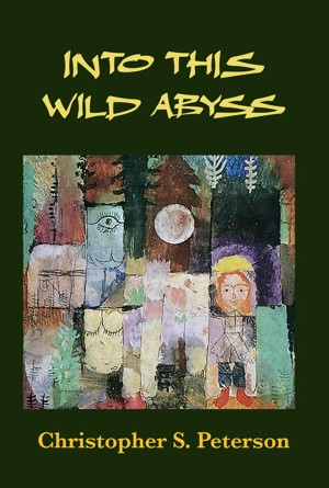 Into This Wild Abyss by Christopher S. Peterson