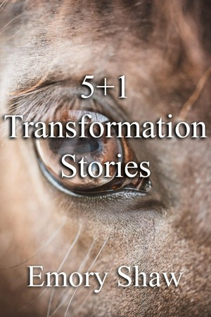 Smashwords – 5+1 Transformation Stories – a book by Emory Shaw