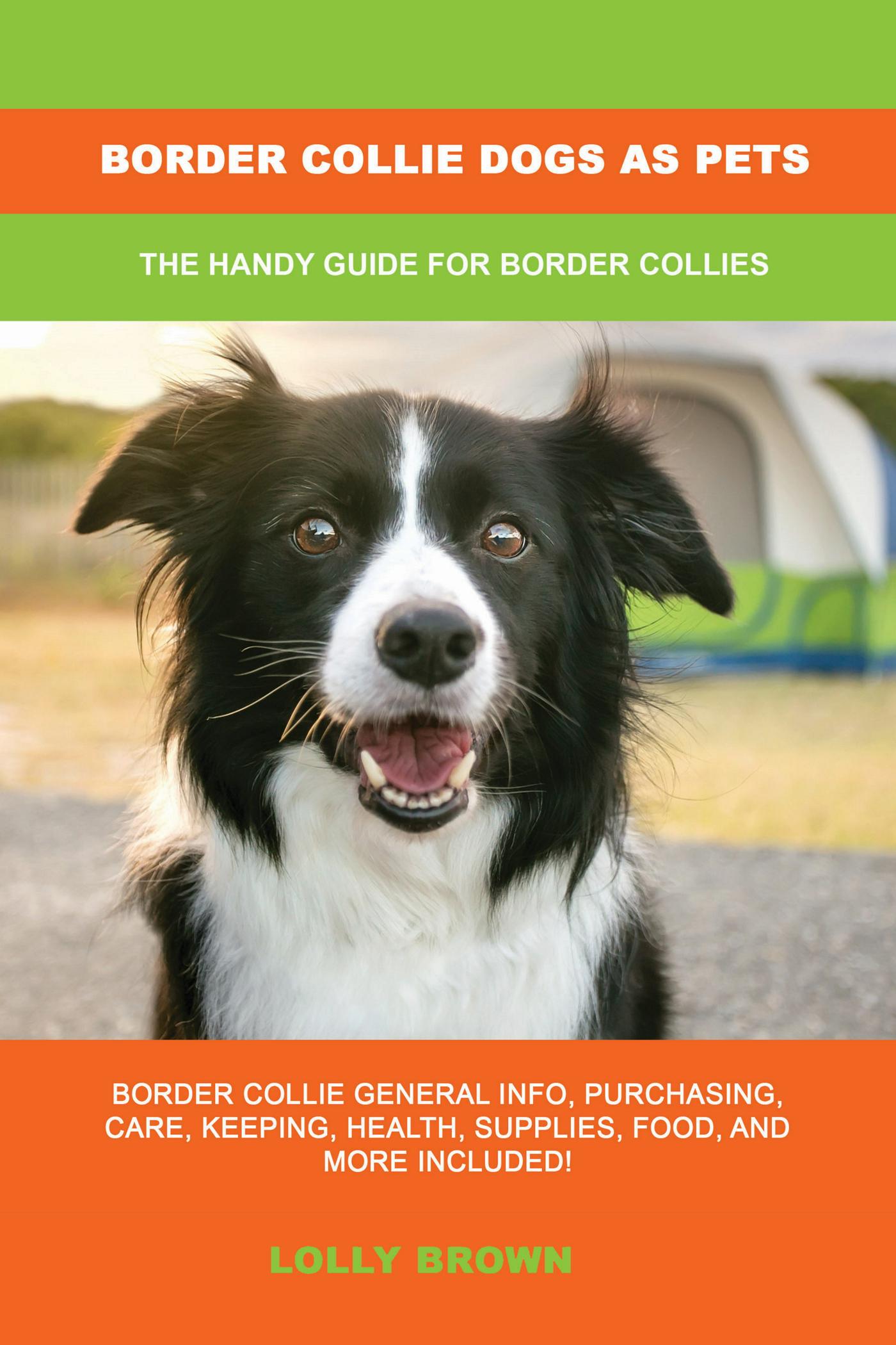 border collie supplies