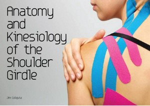 Anatomy Moment: the shoulder girdle — CORPO KINETIC