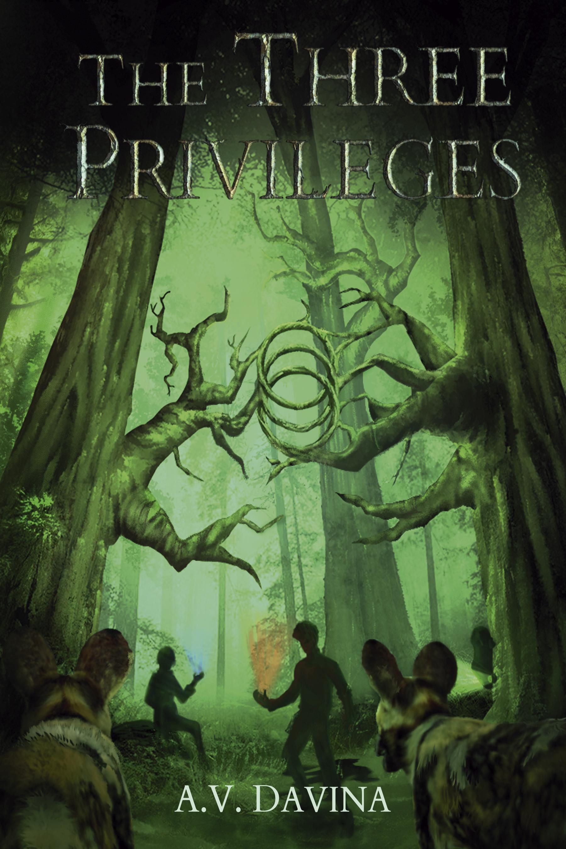 The Three Privileges by A.V. Davina