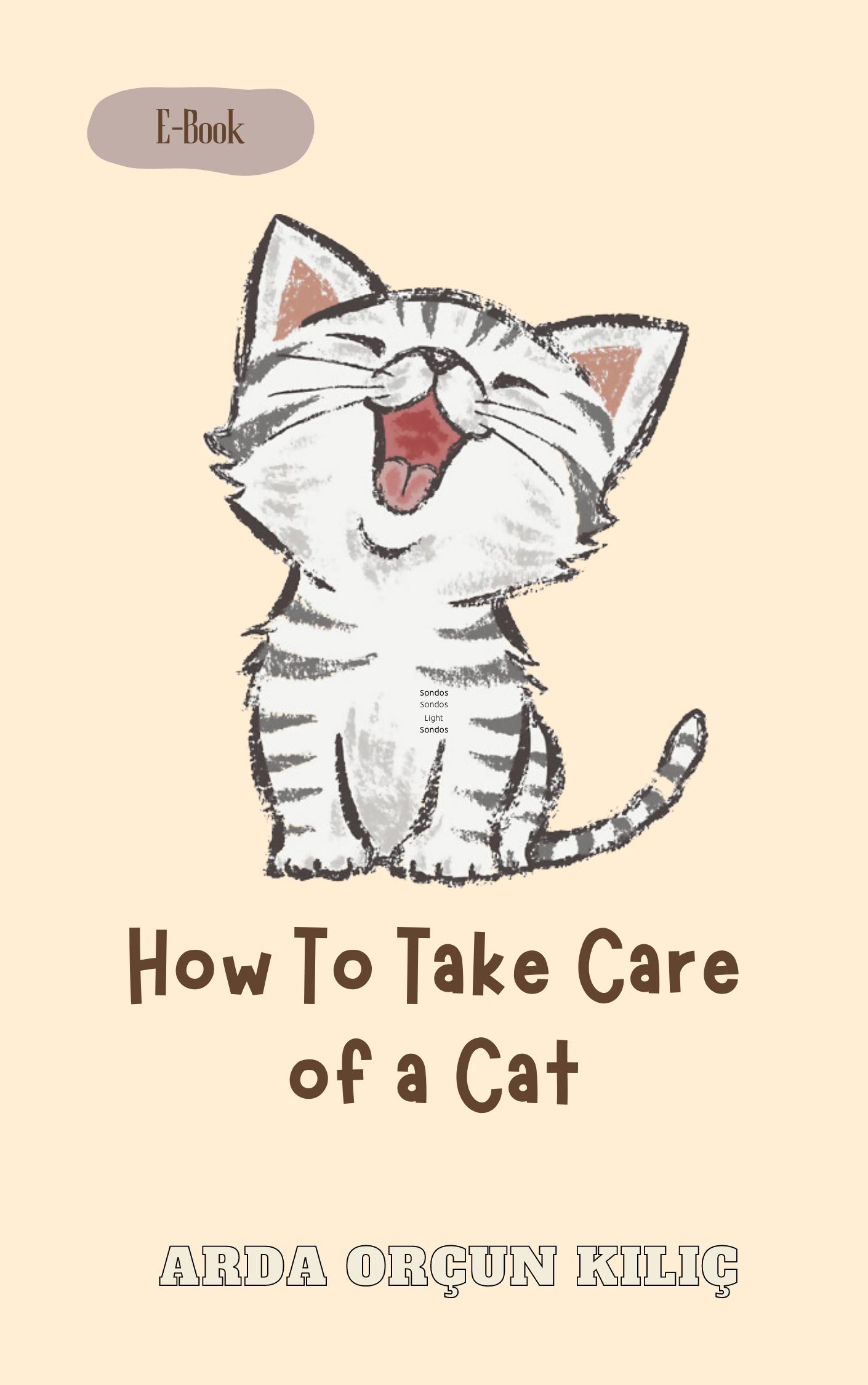 Smashwords How to Take Care of a Cat A Beginner's Guide to Cat Care