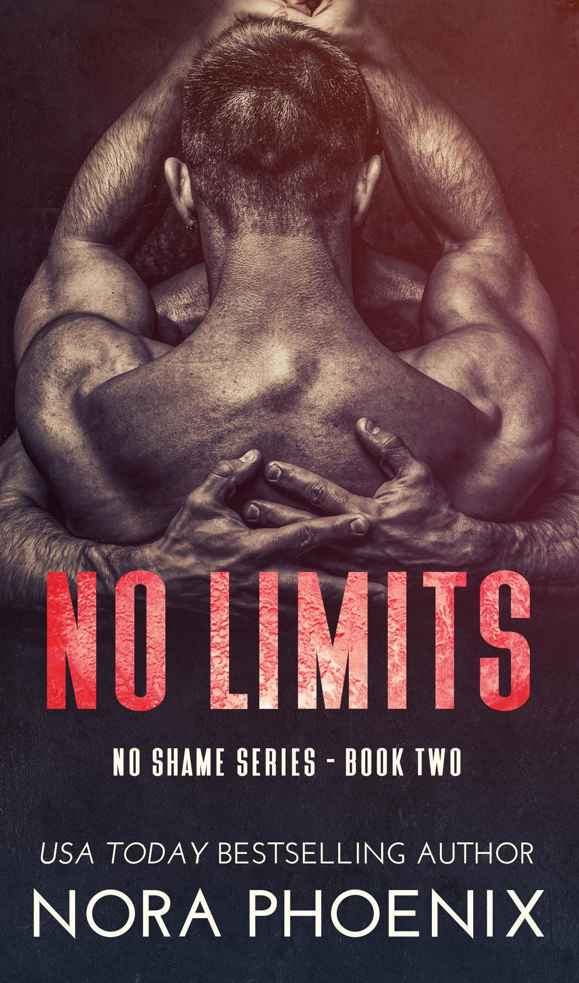 book cover for No Limits