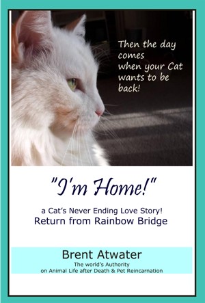 Smashwords About Brent Atwater Author Of Lessons From Loved Ones In Heaven How To Connect With Your Loved One On The Other Side To Heal From Loss After Death Signs From