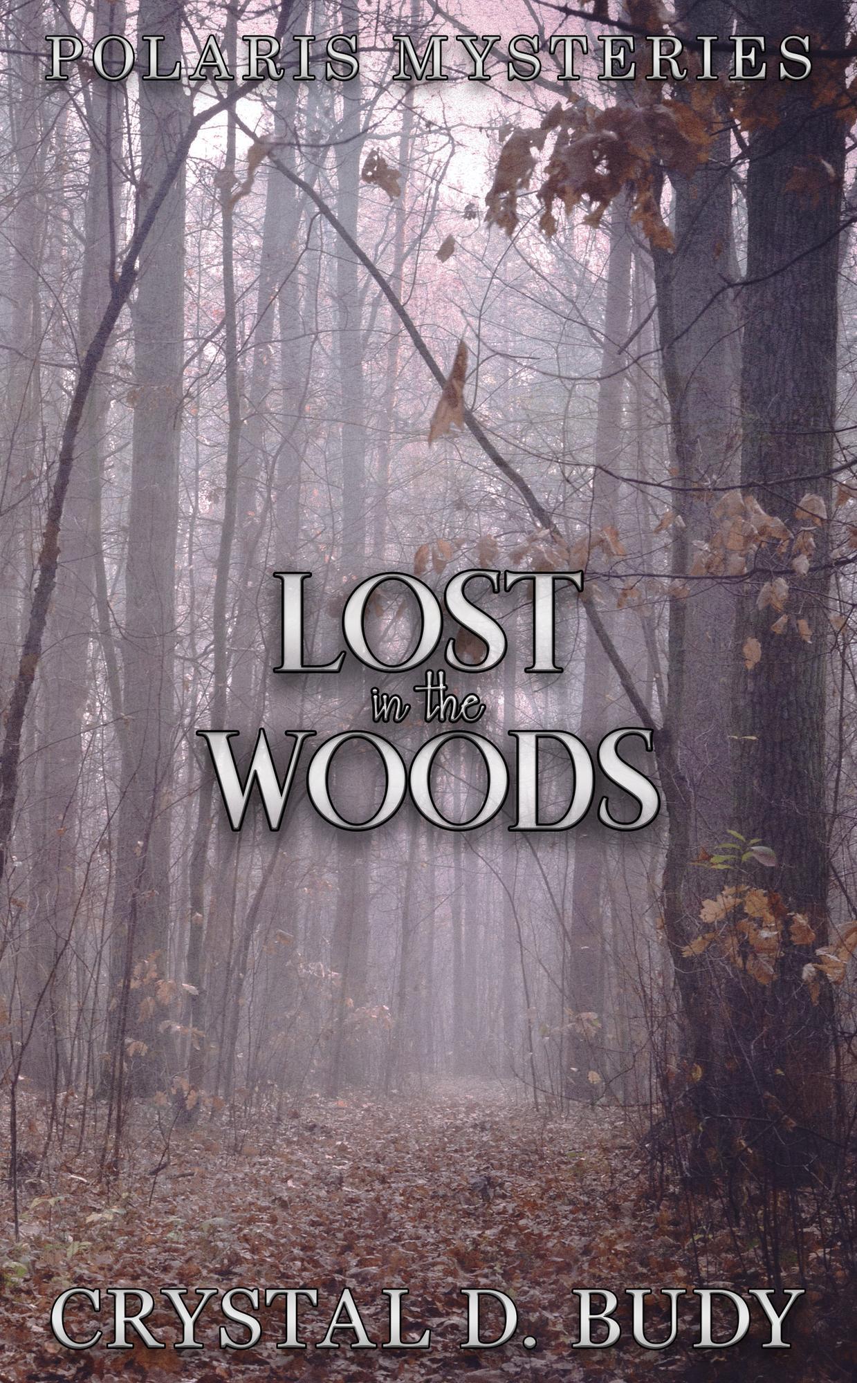 book cover for Lost in the Woods