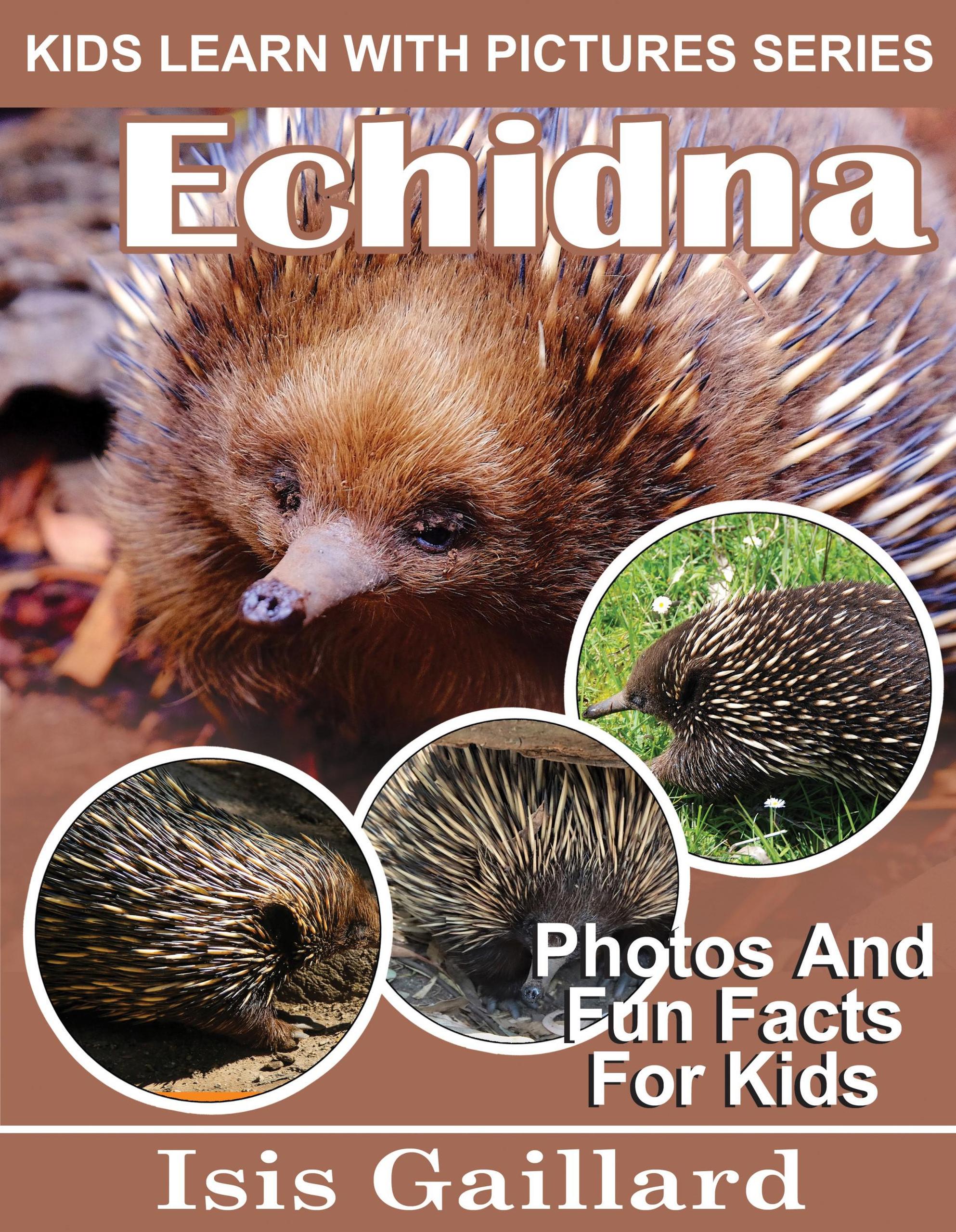 Smashwords – Echidna Photos and Fun Facts for Kids – a book by Tamarila ...