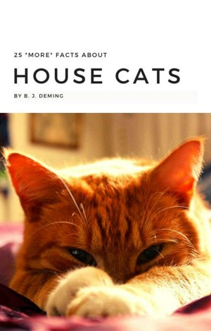 Interesting facts about house hot sale cats