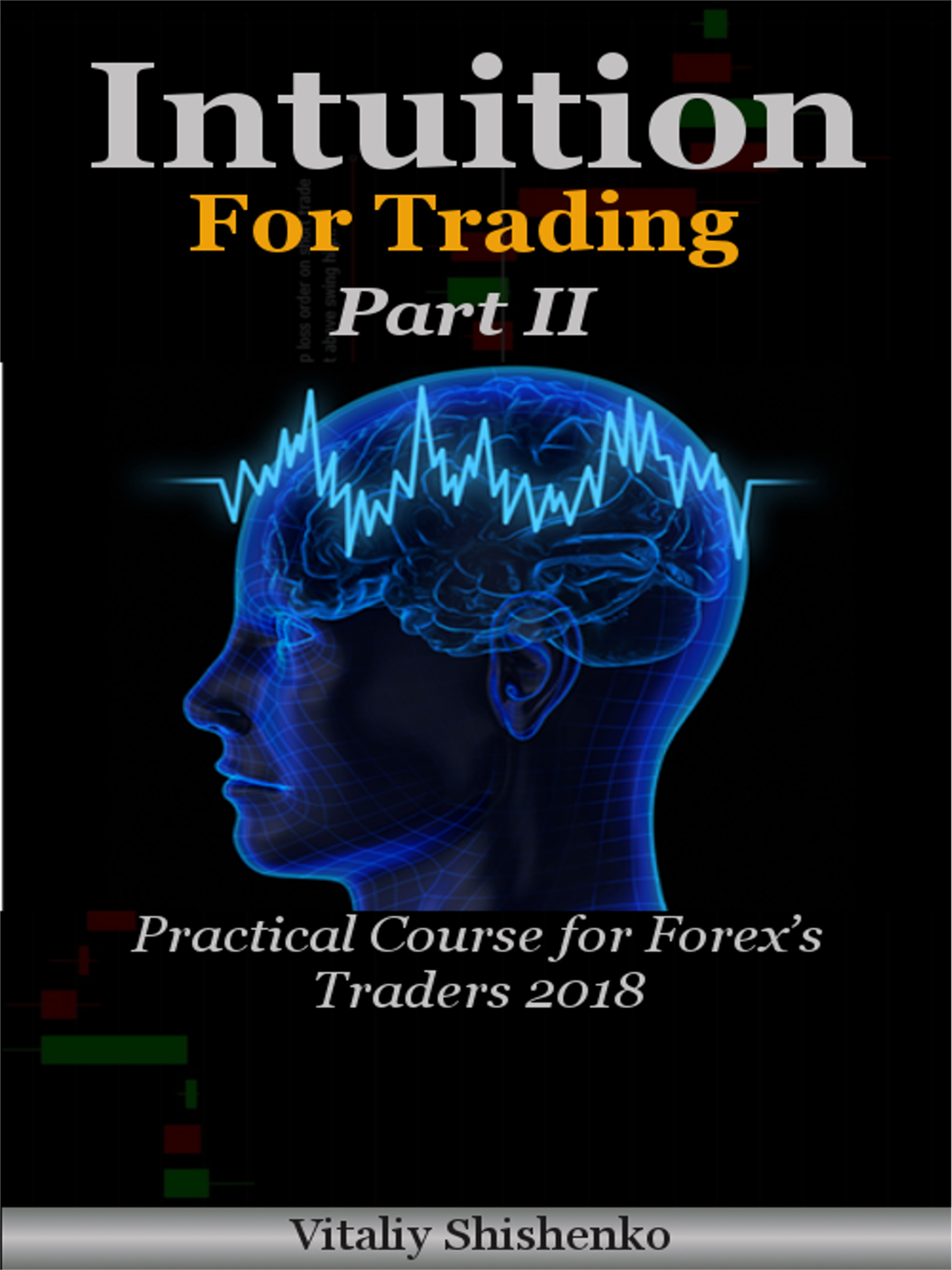 Intuition For Trading An Ebook By Vitaliy Shishenko - 