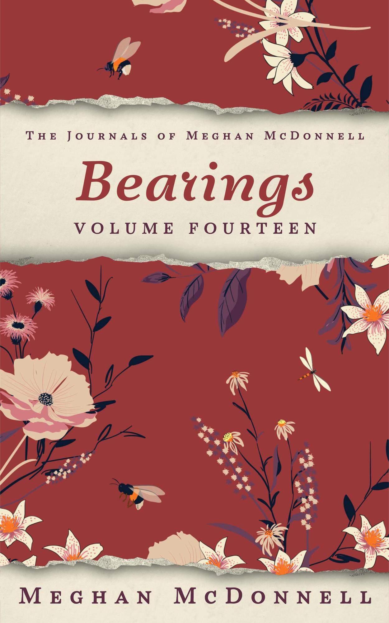 Smashwords Bearings Volume Fourteen a book by Meghan McDonnell