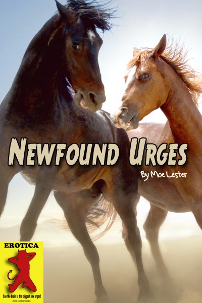 Virgin for Horses 3 â€“ XXX-Fiction