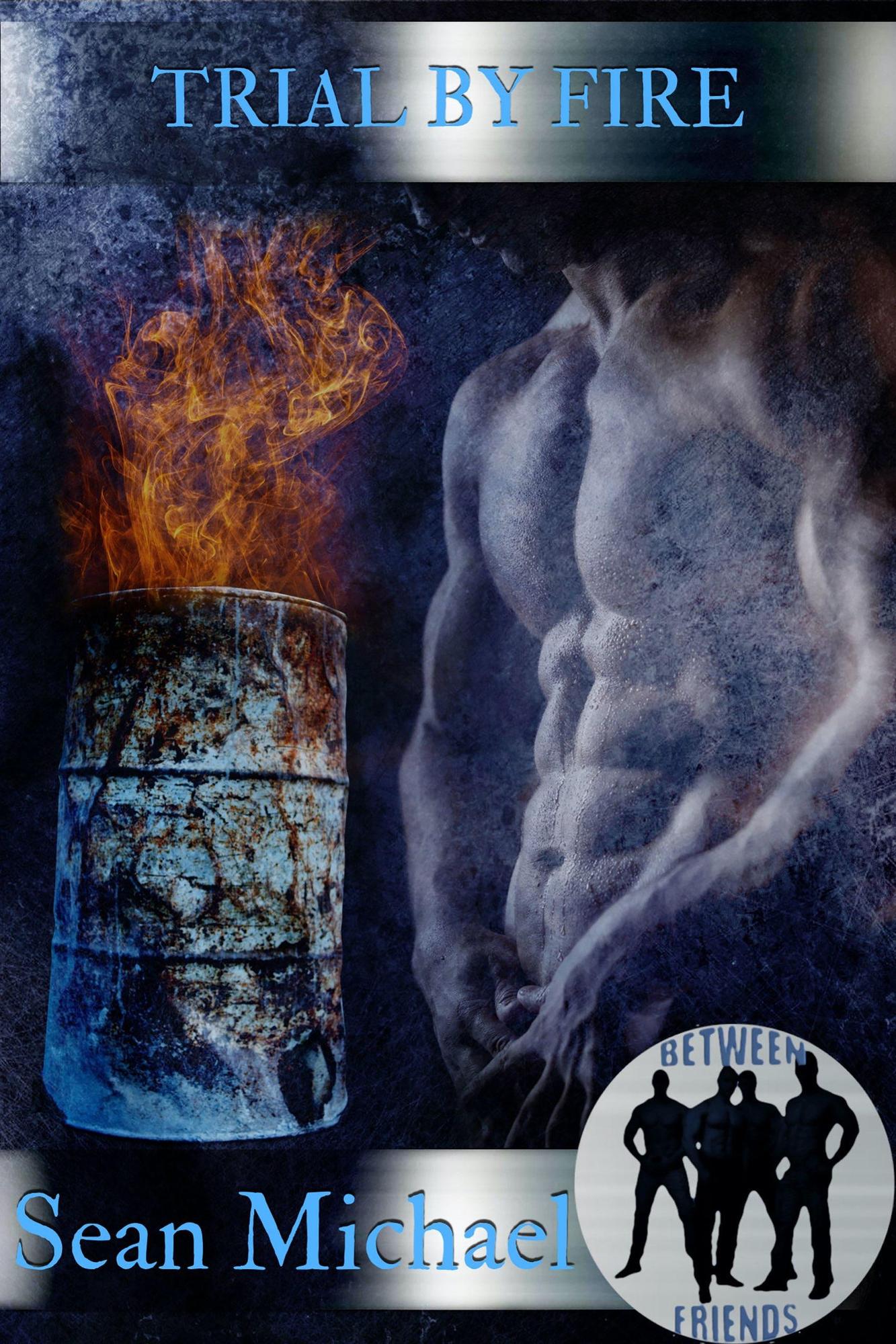 book cover for Trial by Fire