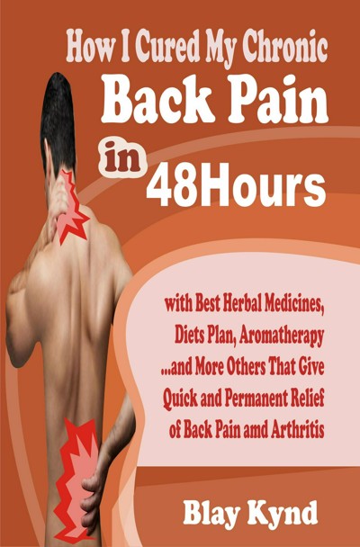 Smashwords How I Cured My Chronic Back Pain In 48Hours With Best 