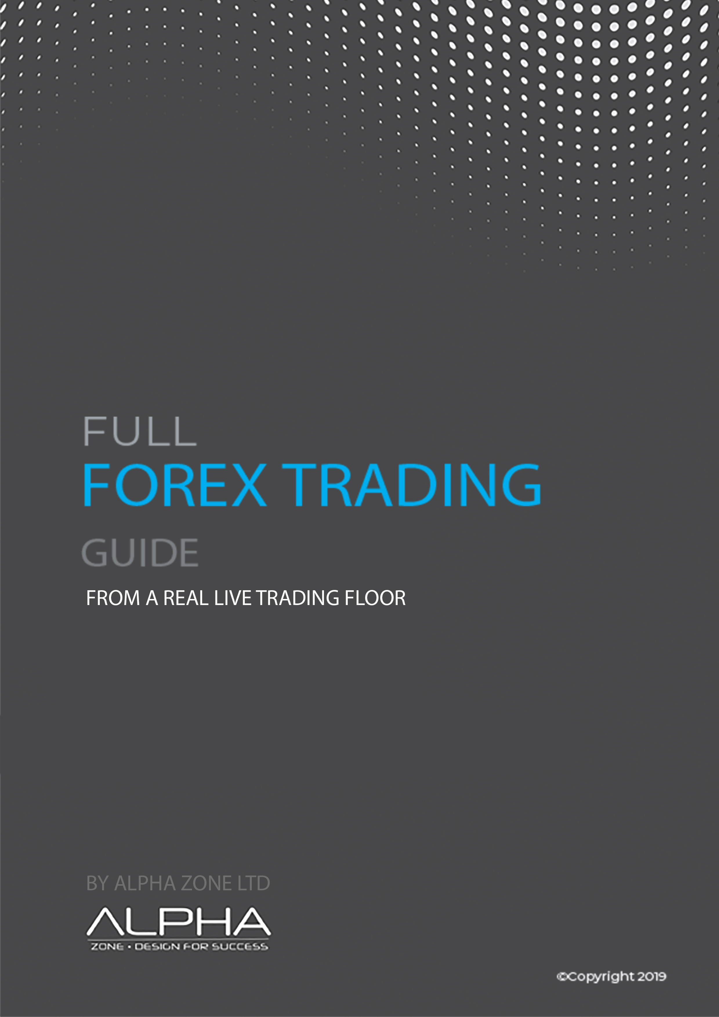 Full Forex Trading Guide A Beginner S Trading Handbook From A Real Live Trading Floor An Ebook By Alphazone - 