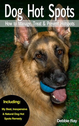 German shepherd hotsell hot spot treatment