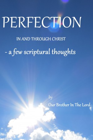 Smashwords – Perfection In And Through Christ