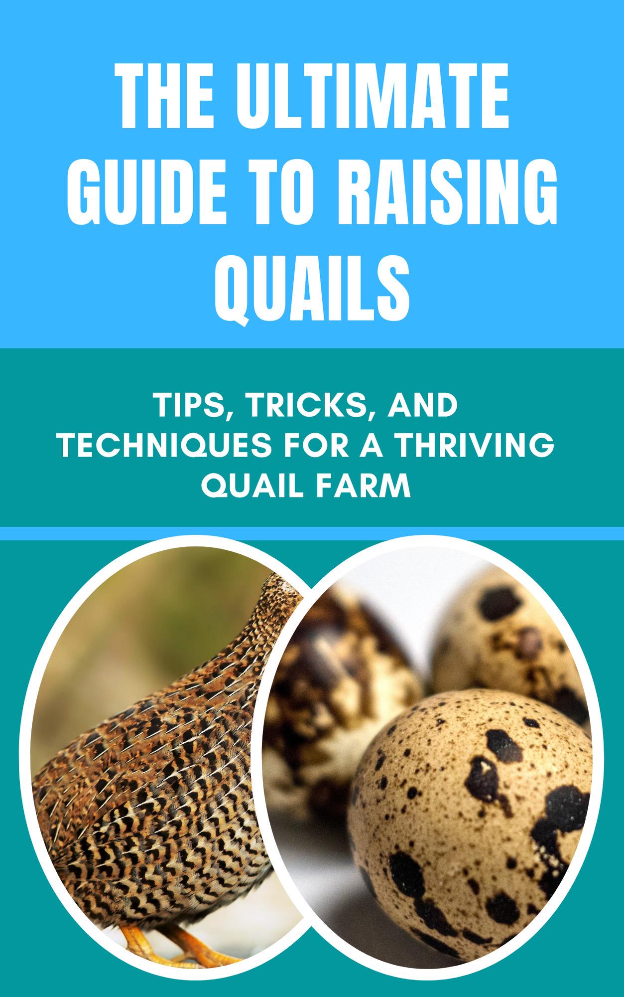 Georgia Quail Farm Incubator - hdz43iz