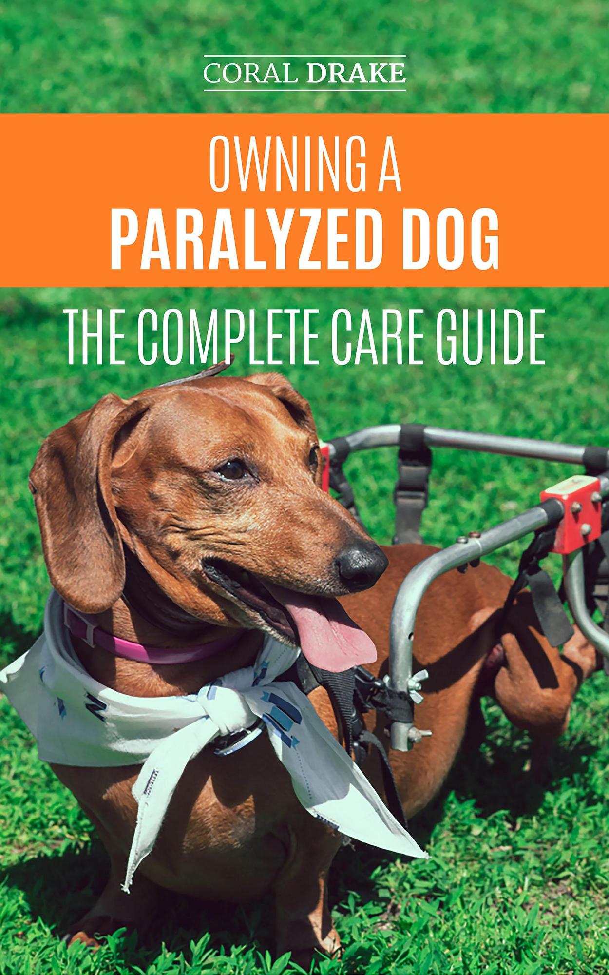 Smashwords Owning a Paralyzed Dog The Complete Care Guide a book