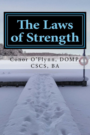 Smashwords – The Laws of Strength