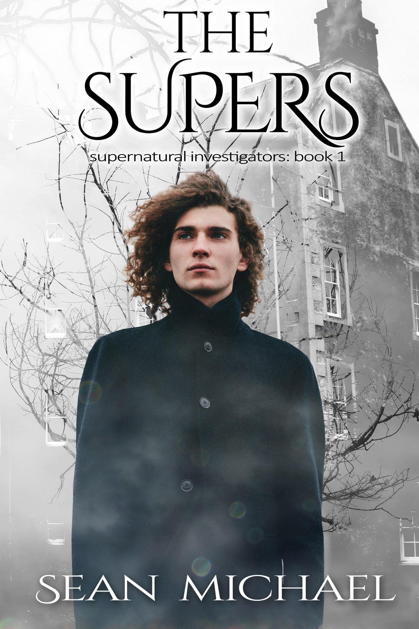 book cover for The Supers