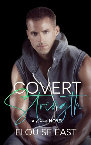 Smashwords – Covert Strength