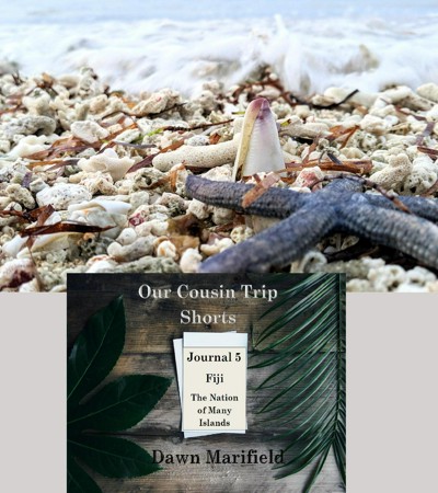Smashwords – Our Cousin Trip Shorts Journal 5 Fiji The Nation of Many ...