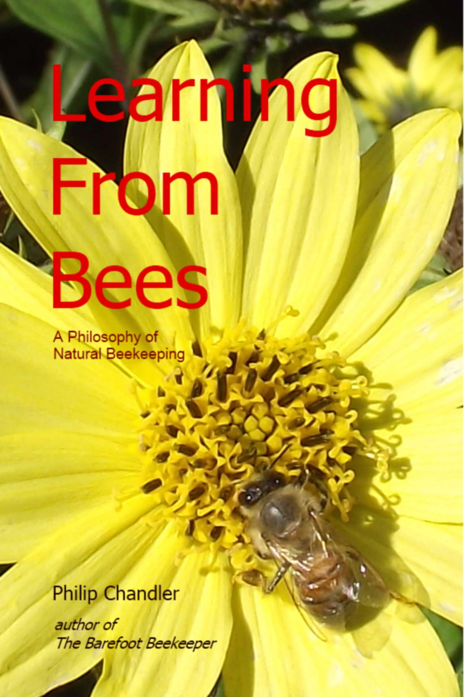 Smashwords Learning From Bees A Philosophy Of Natural