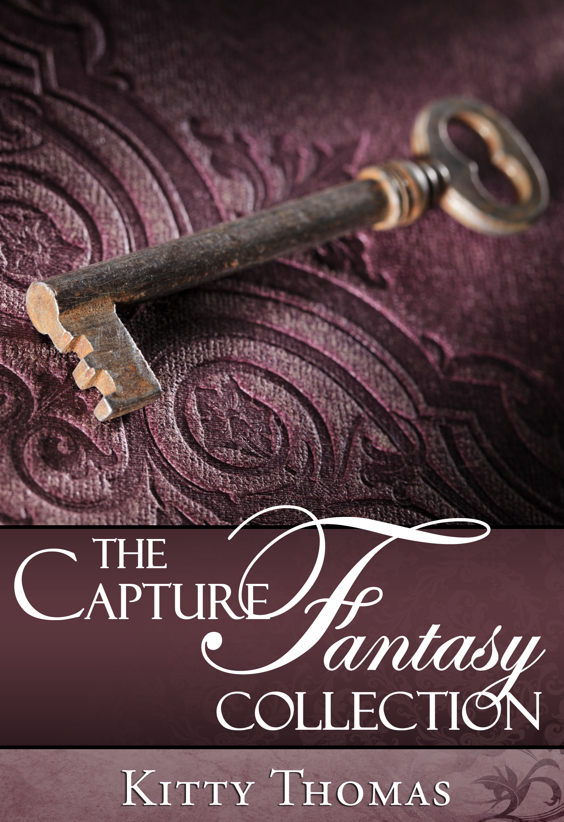 Smashwords The Capture Fantasy Collection A Book By Kitty Thomas