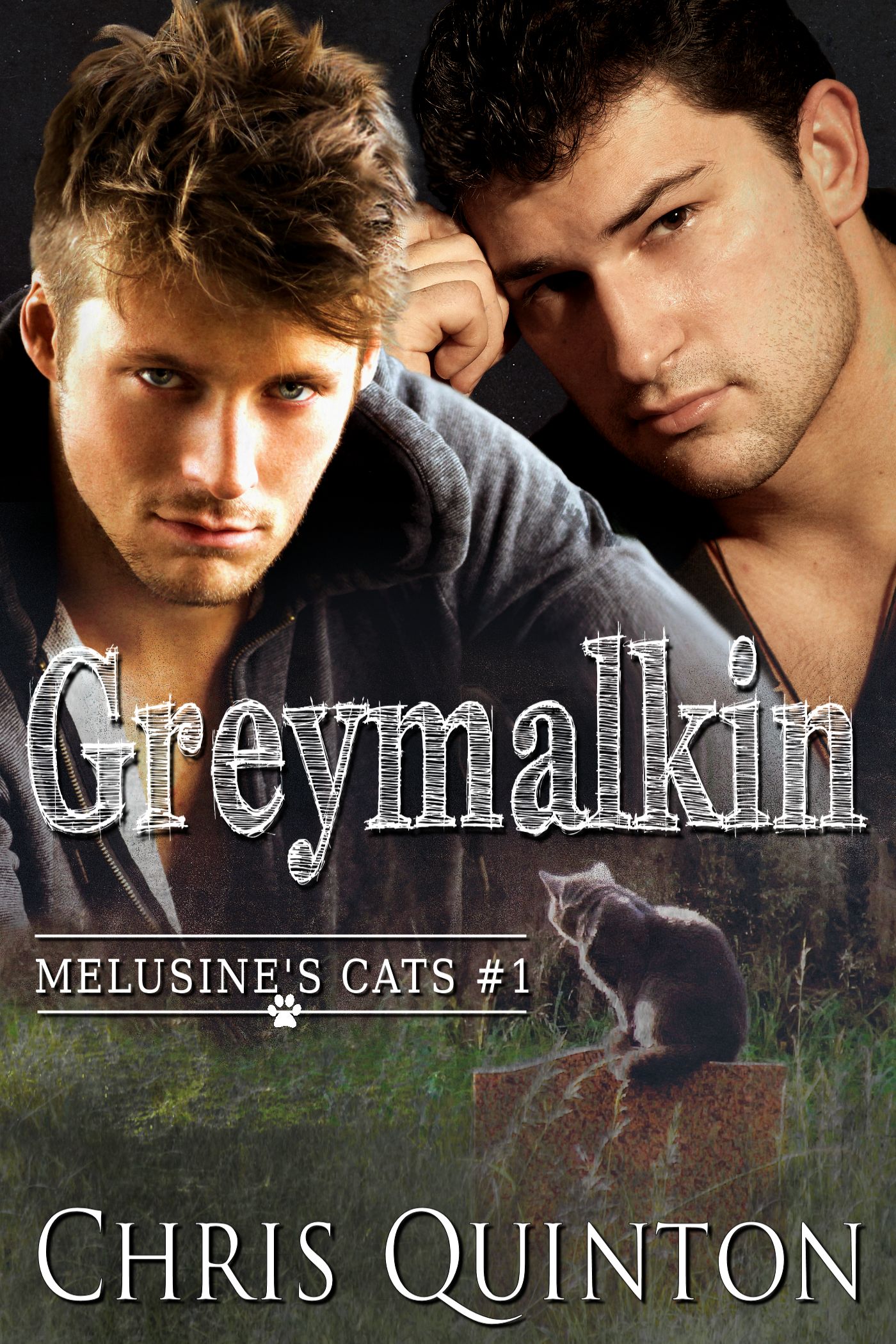 book cover for Greymalkin