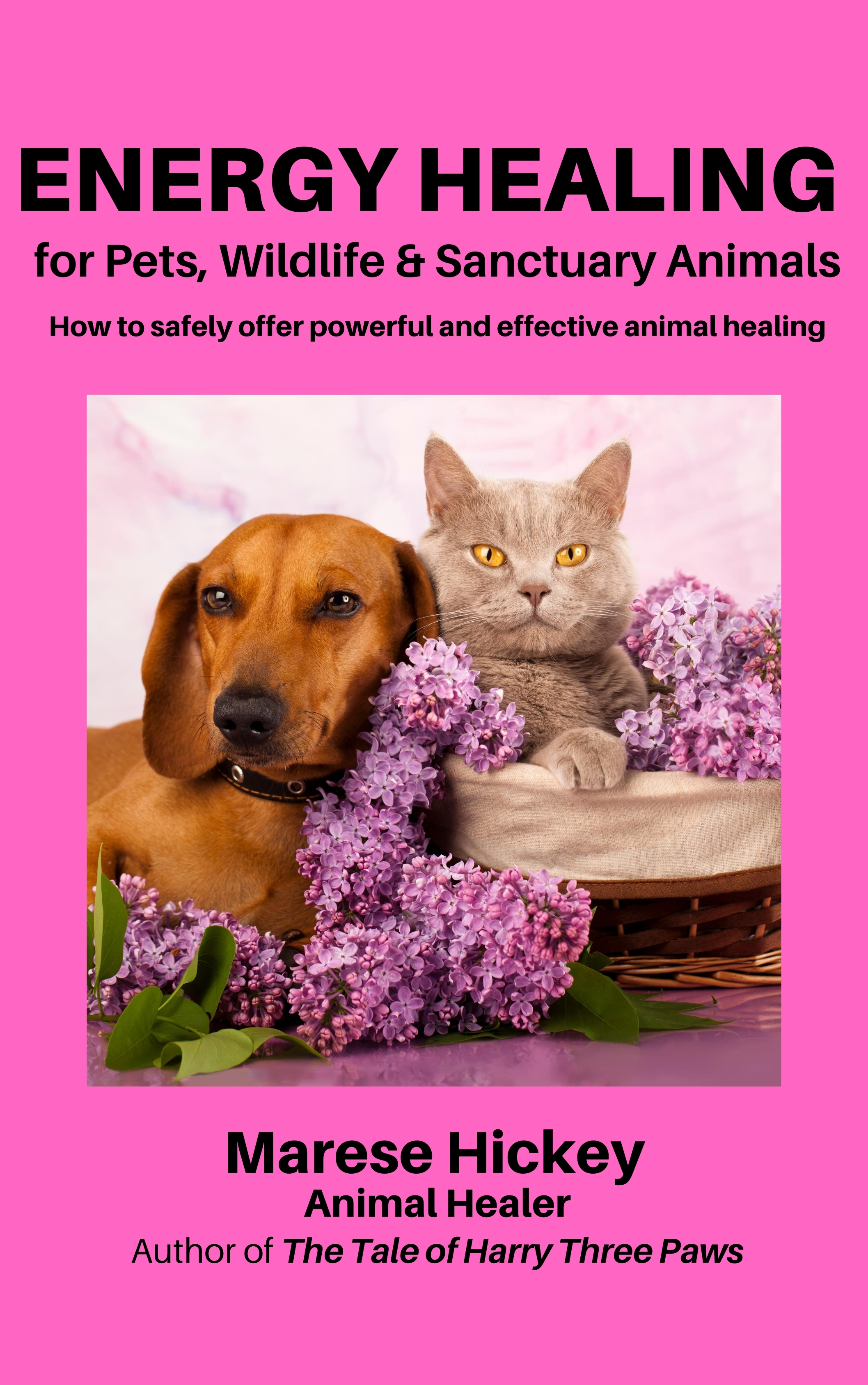 Smashwords – Energy Healing for Pets, Wildlife and Sanctuary Animals - How  to Safely Offer Powerful & Effective Animal Healing – a book by Marese  Hickey