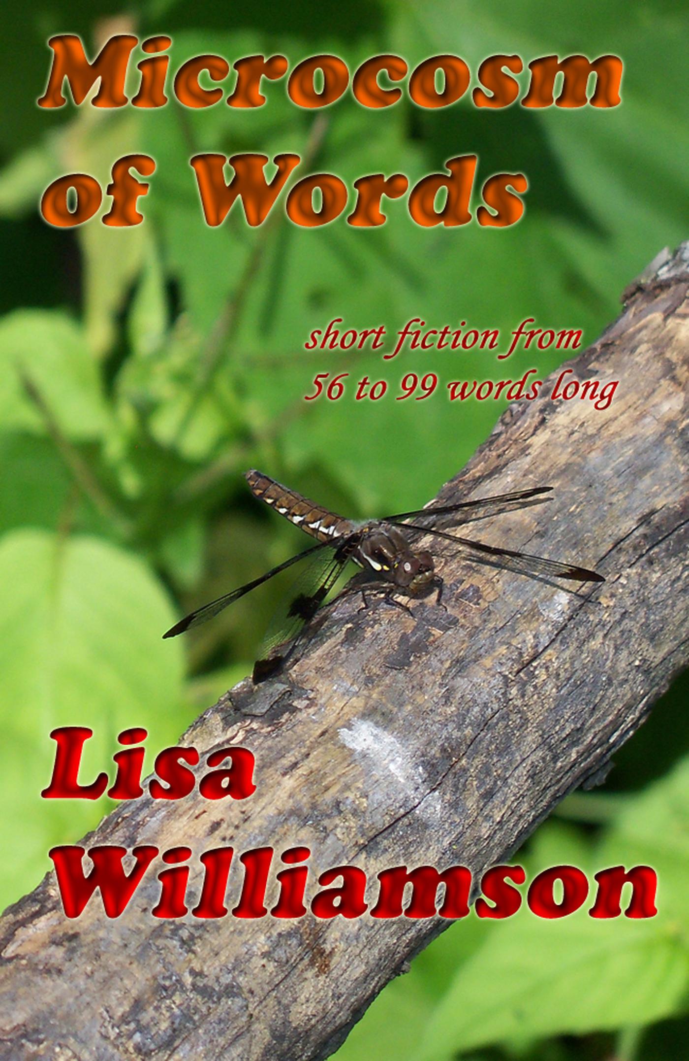 Smashwords A Microcosm Of Words A Book By Lisa Williamson 40-000-words-by-nicholas-leonard-goodreads