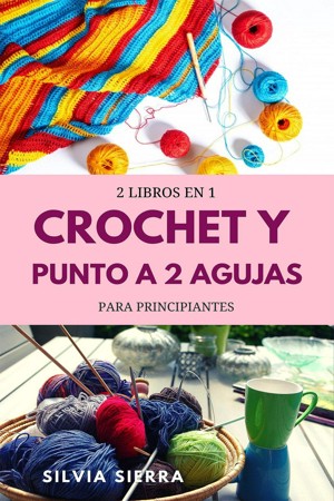 2 libros en 1: Crochet y punto a 2 agujas para principiantes