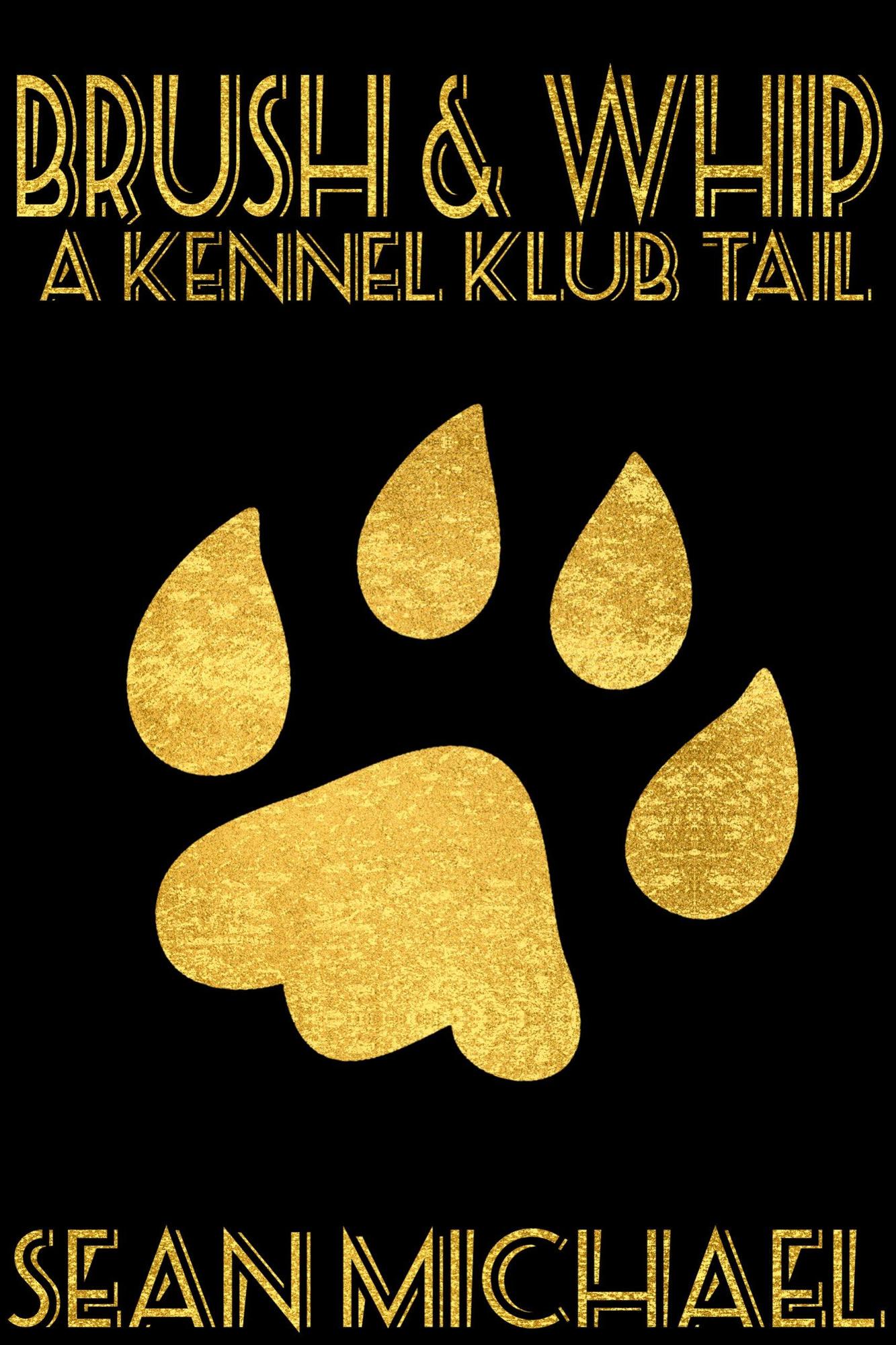 book cover for Brush and Whip