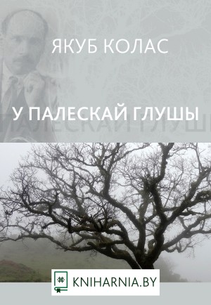 Характерістіка лабановіча у палескай глушы. Якуб Колас.у палескай глушы» (1923 ).. Ноч перад навальніцай Якуб Колас. У глыбі Палесся книга. Апісанне Ядвісі у палескай глушы.