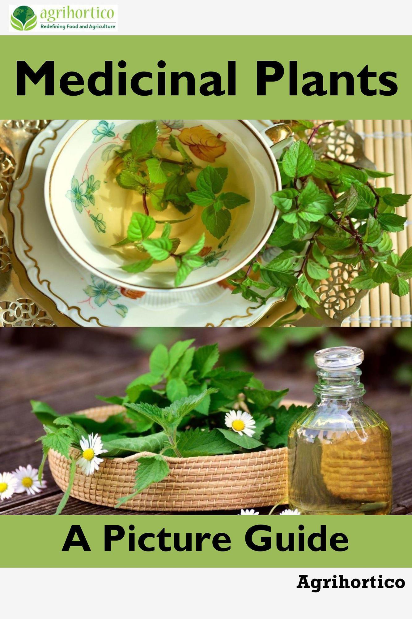 smashwords-medicinal-plants-a-picture-guide-a-book-by-agrihortico-cpl