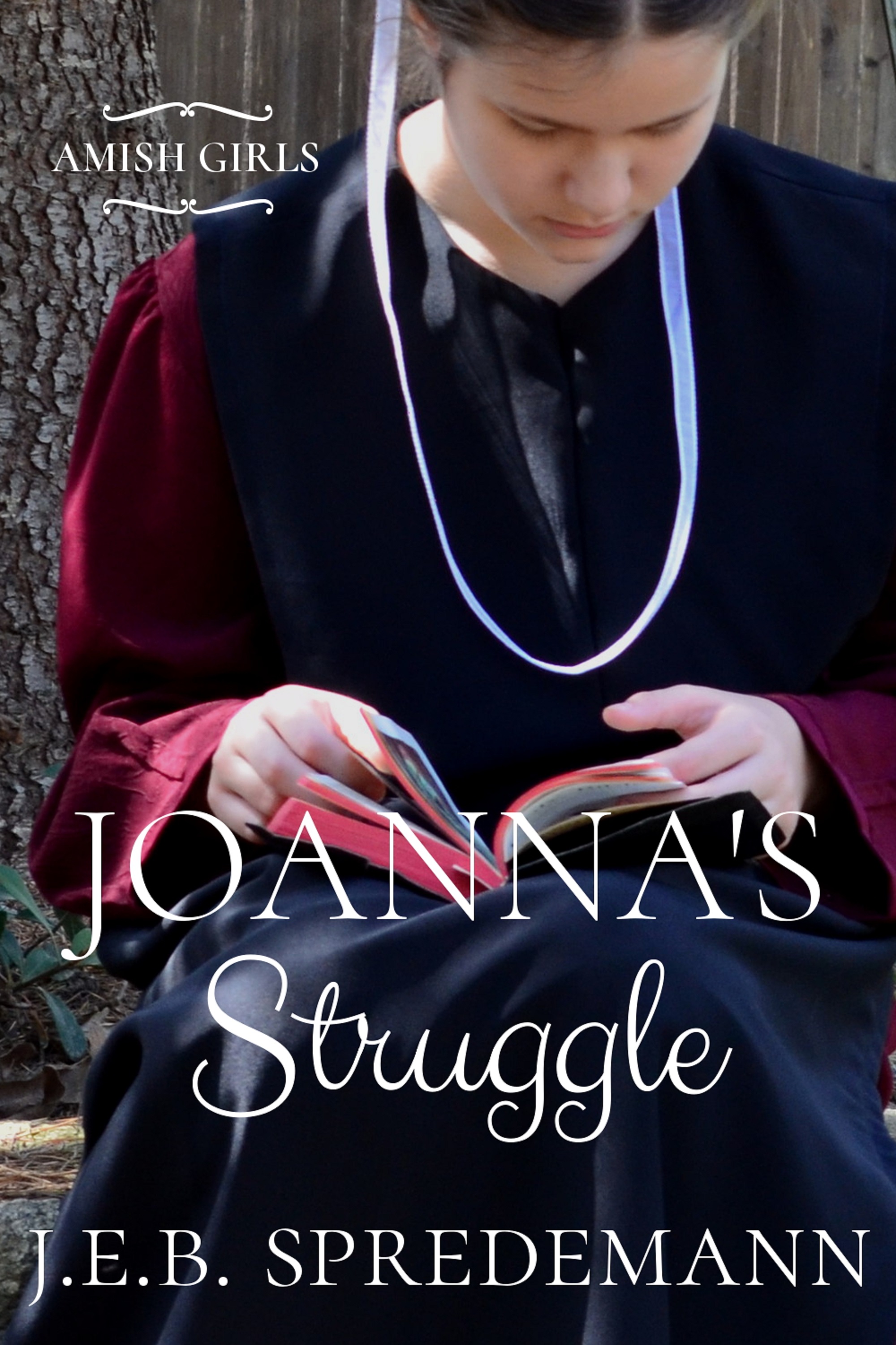 Smashwords Joanna S Struggle Amish Girls Series Book 1