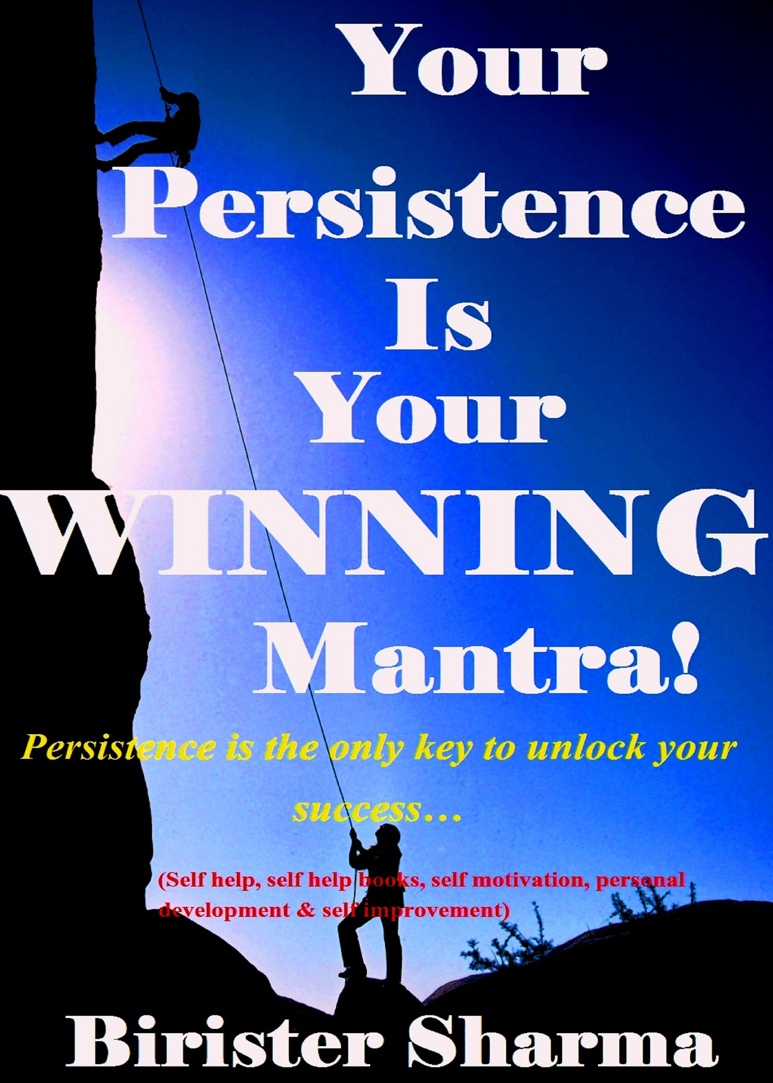 Perseverance is the key to success meaning image