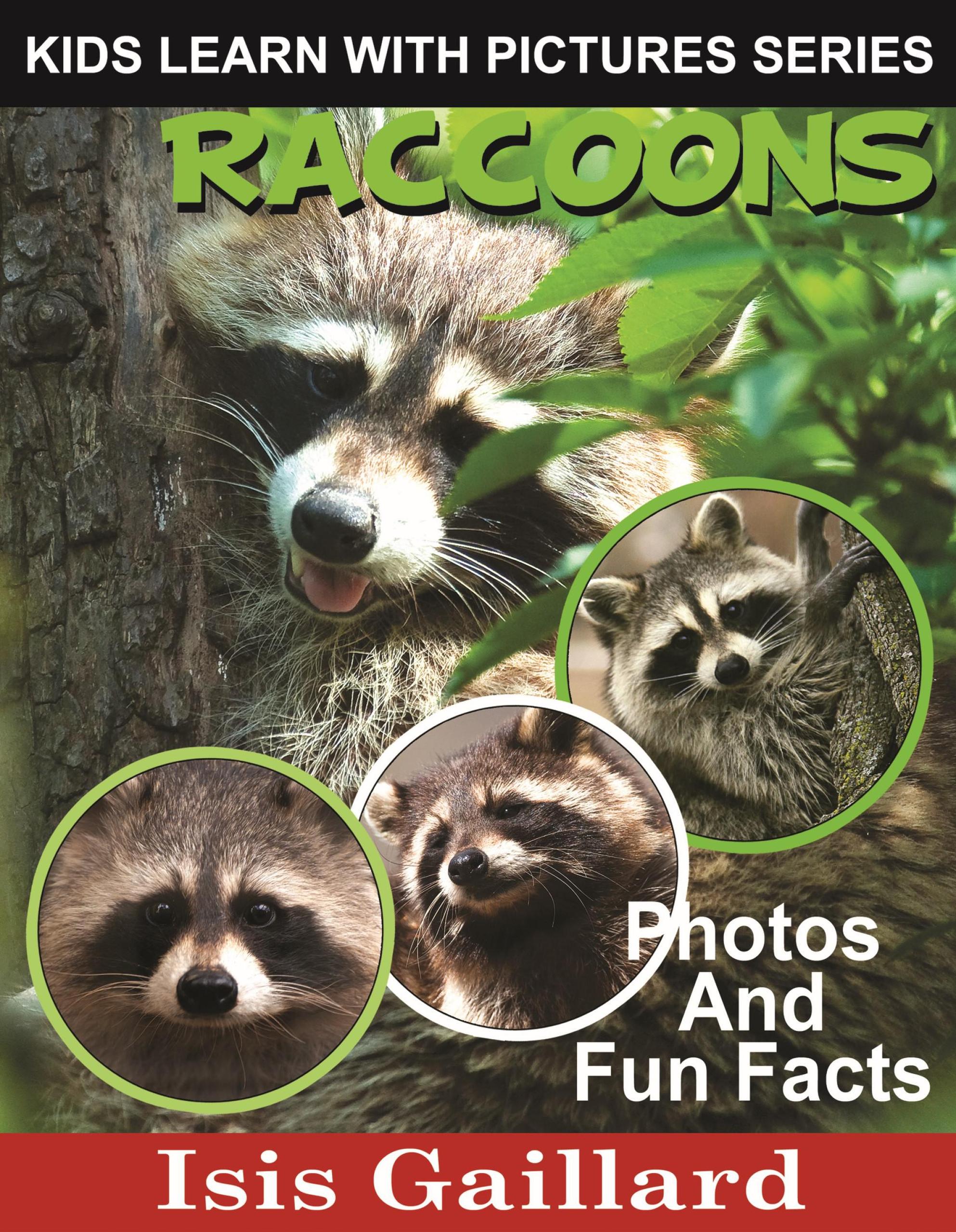 Smashwords – Raccoons Photos and Fun Facts for Kids – a book by Isis ...