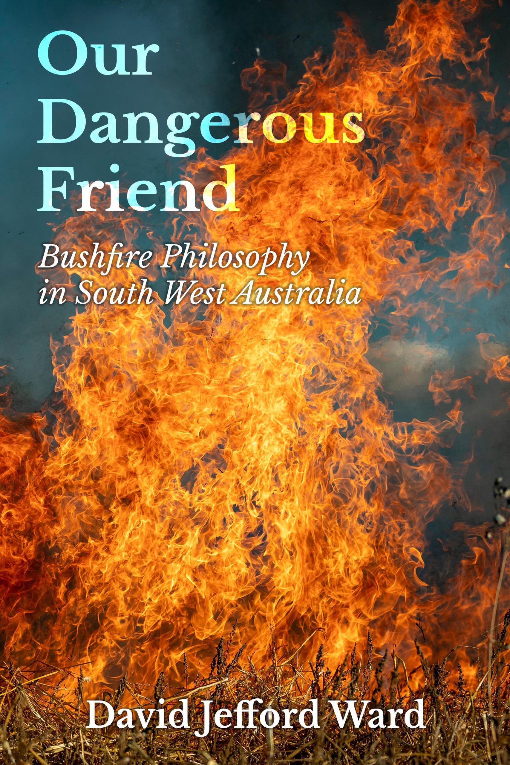 smashwords-our-dangerous-friend-a-book-by-david-jefford-ward