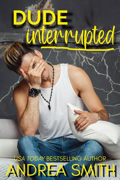 Smashwords Dude Interrupted A Book By Andrea Smith