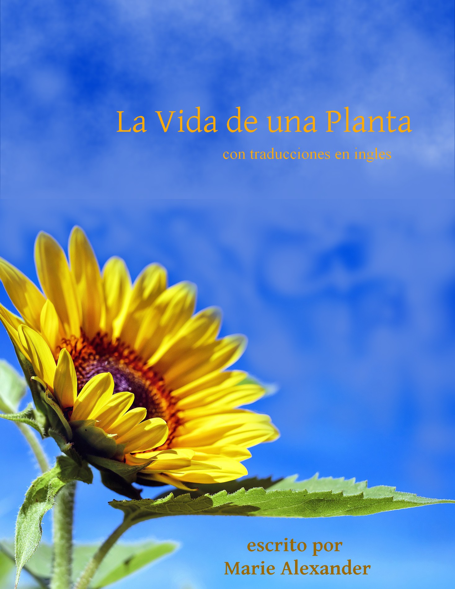 Smashwords – La Vida de una Planta - con traducciones en ingles – a book by  Marie Alexander