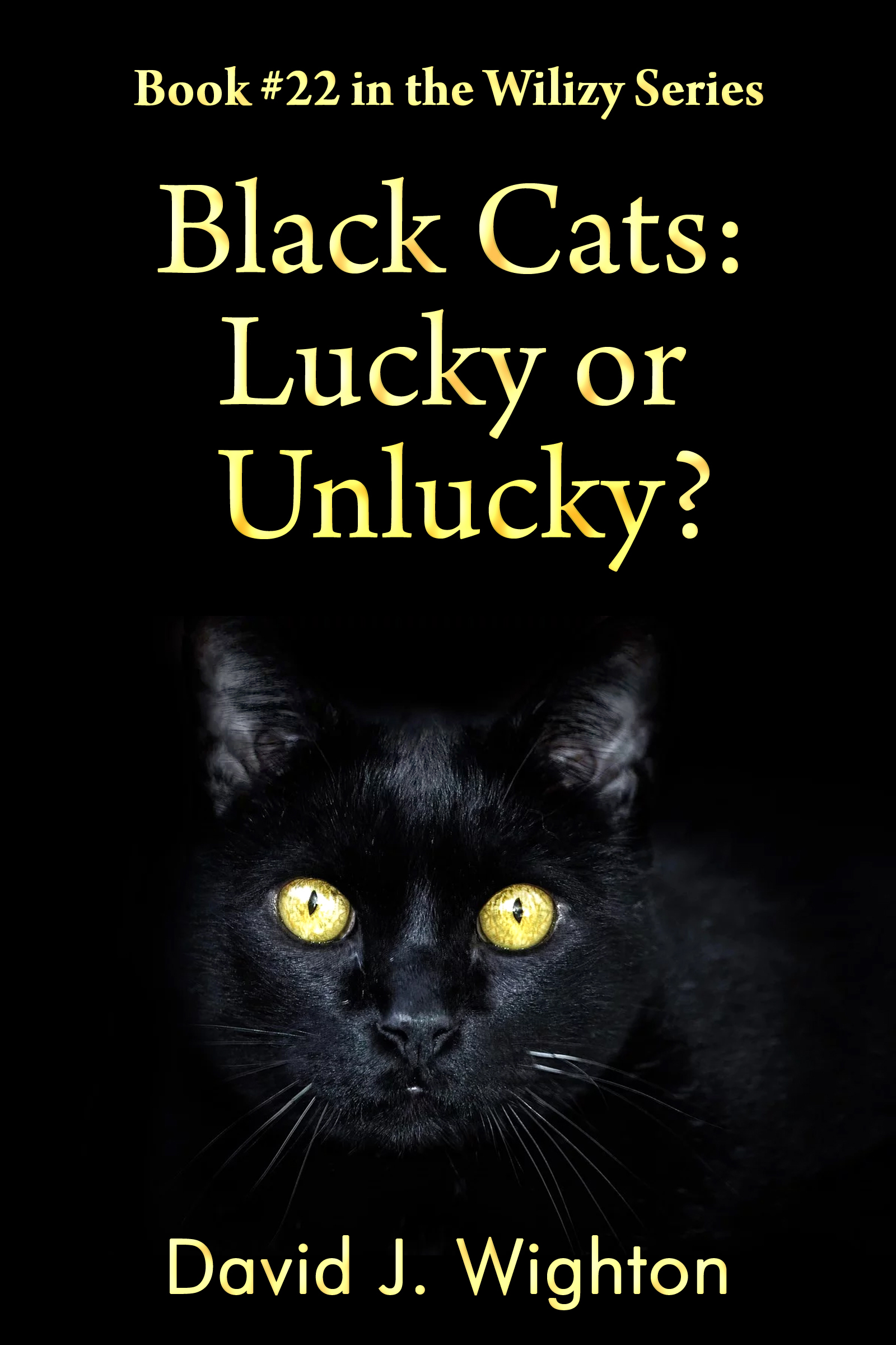 smashwords-black-cats-lucky-or-unlucky-a-book-by-david-j-wighton