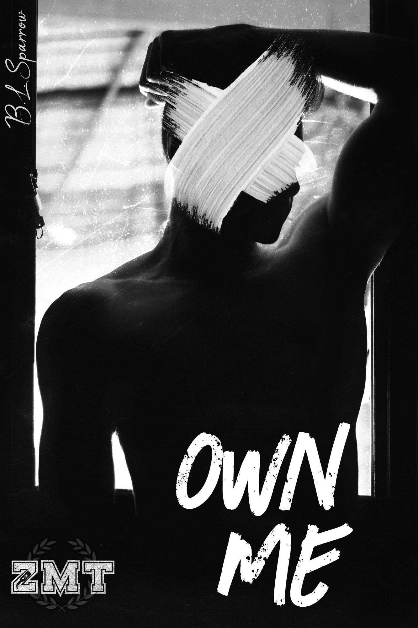 book cover for Own Me