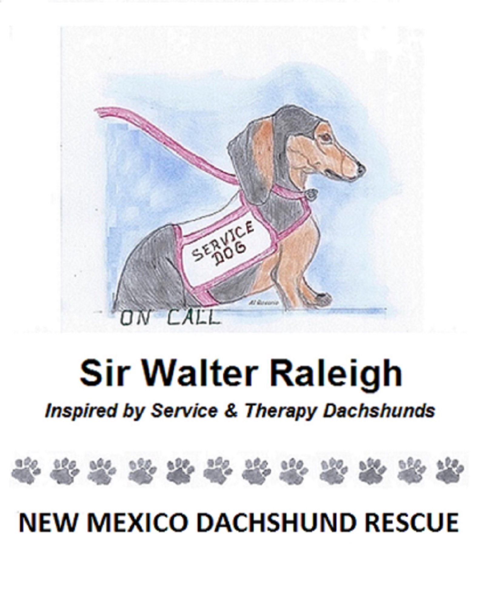 dachshund rehoming