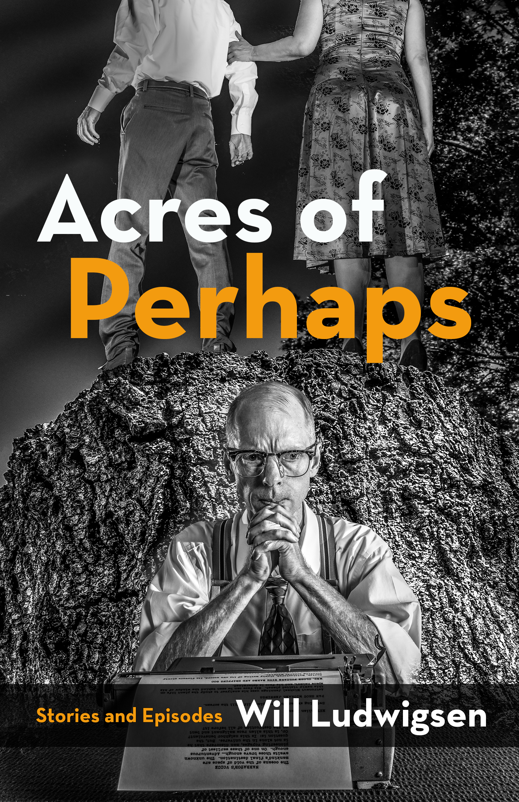 Smashwords Acres Of Perhaps Stories And Episodes A Book By Will Ludwigsen