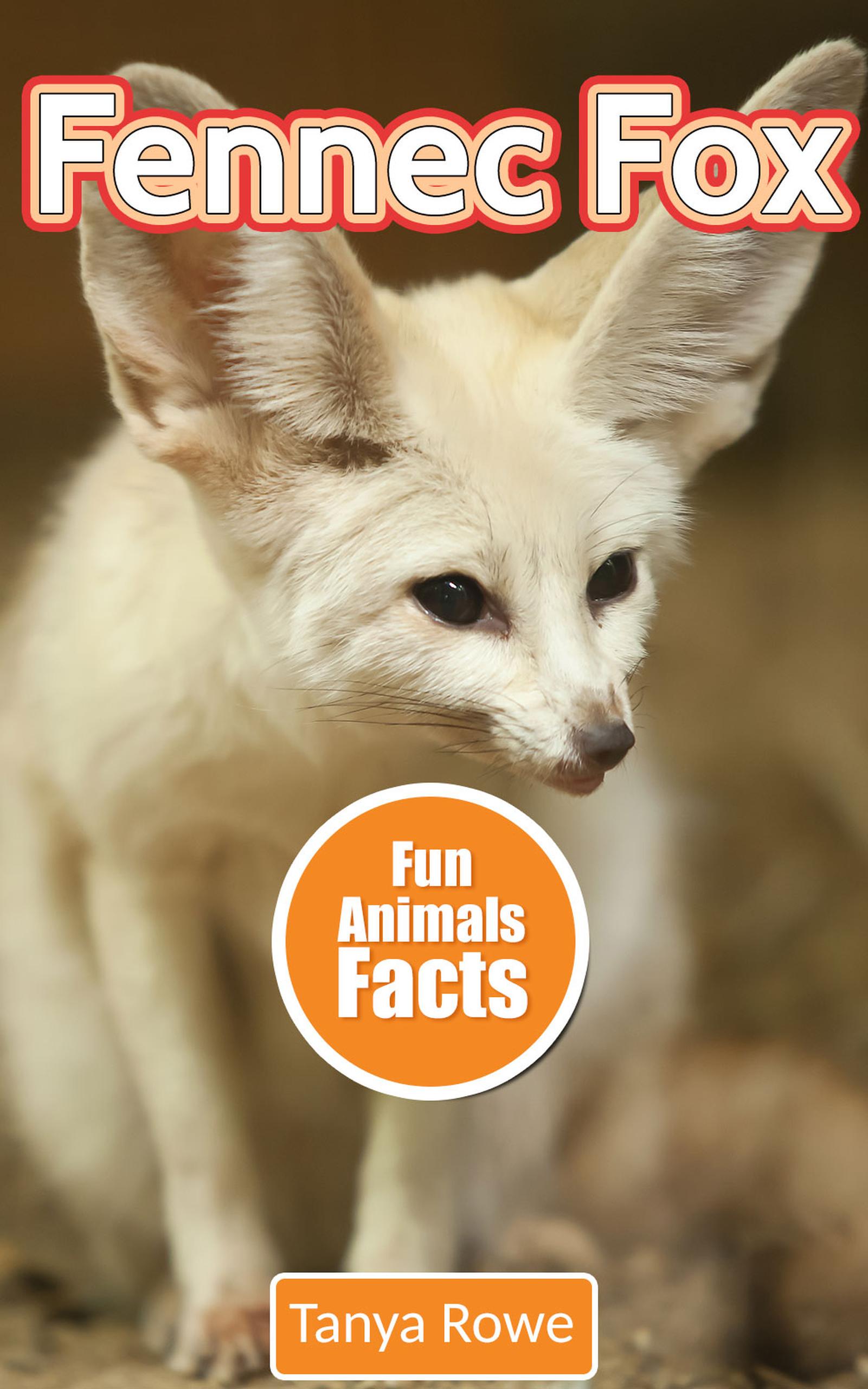 Smashwords Fennec Fox a book by Tanya Rowe