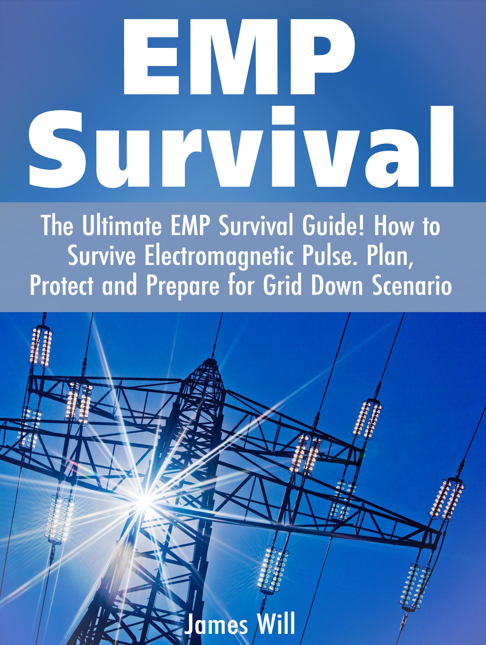 Smashwords Emp Survival The Ultimate Emp Survival Guide How To Survive Electromagnetic Pulse 2037