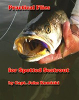 The Art of Surfcasting with Lures by Zeno Hromin (Ebook) - Read