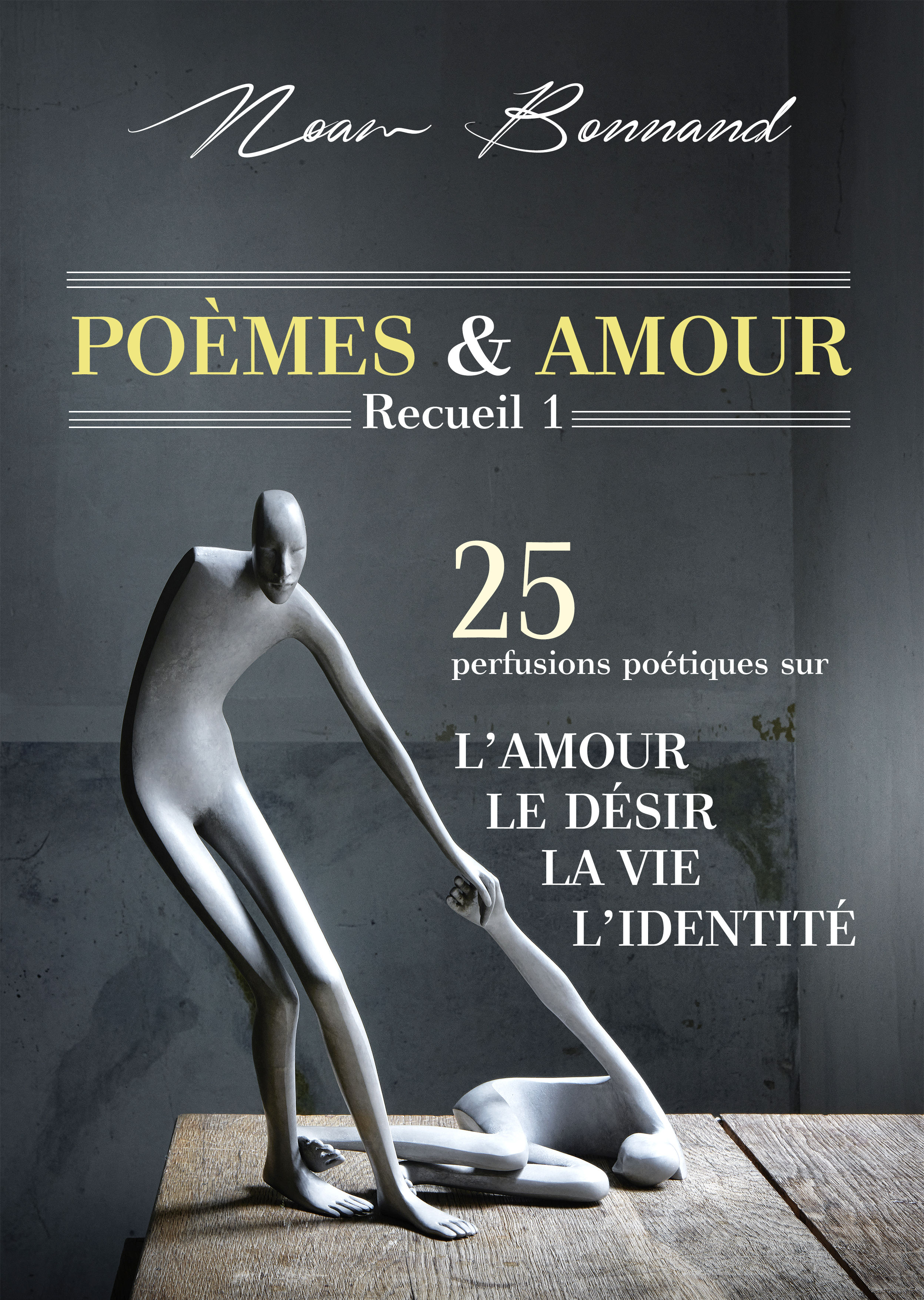 Smashwords Poemes Amour Recueil1 25 Perfusions Poetiques Sur L Amour Le Desir La Vie L Identite A Book By Noam Bonnand