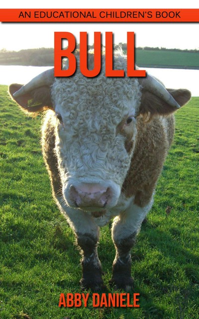 Smashwords – Bull! An Educational Children's Book – a book by Abby Daniele