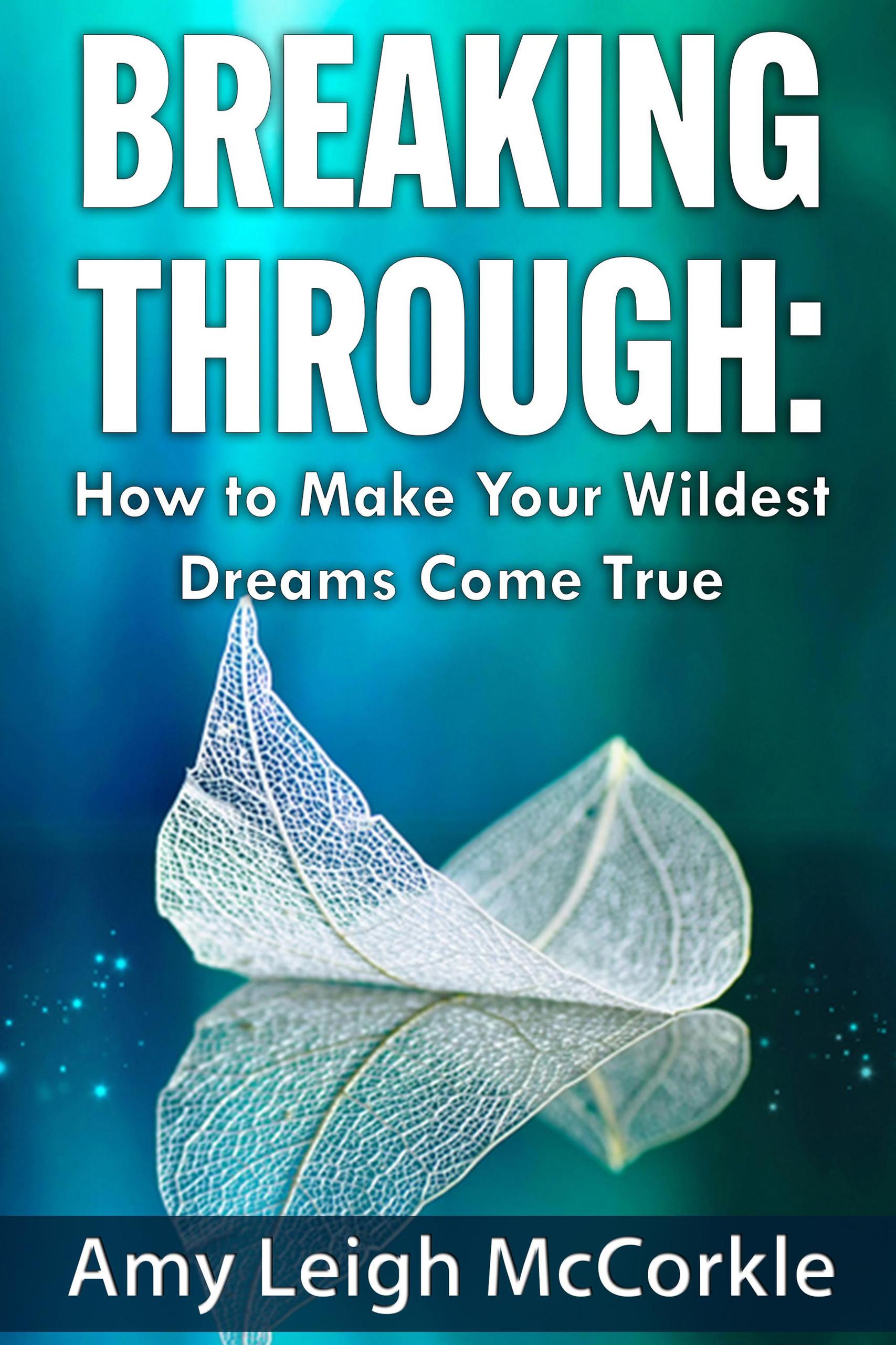 Longtoesally'S Wildest Dream Come True - 13qu4ma